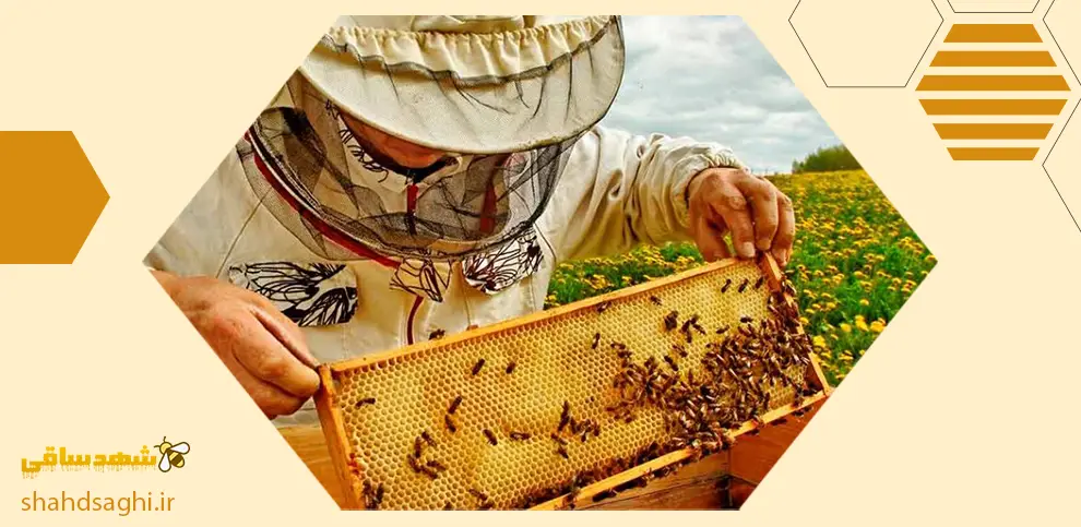 خرید عسل طبیعی