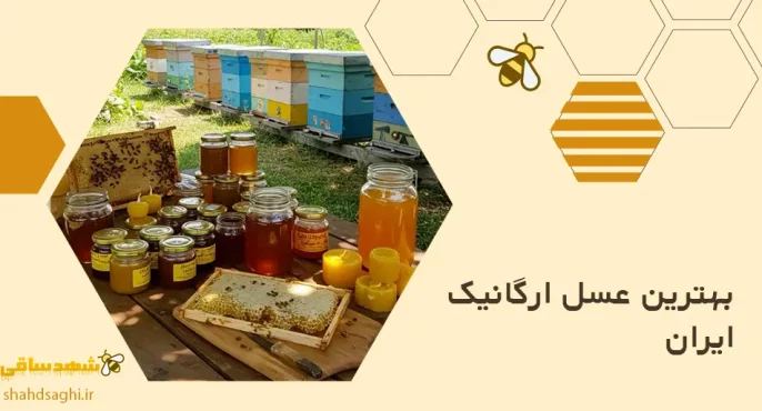 بهترین عسل ارگانیک ایران