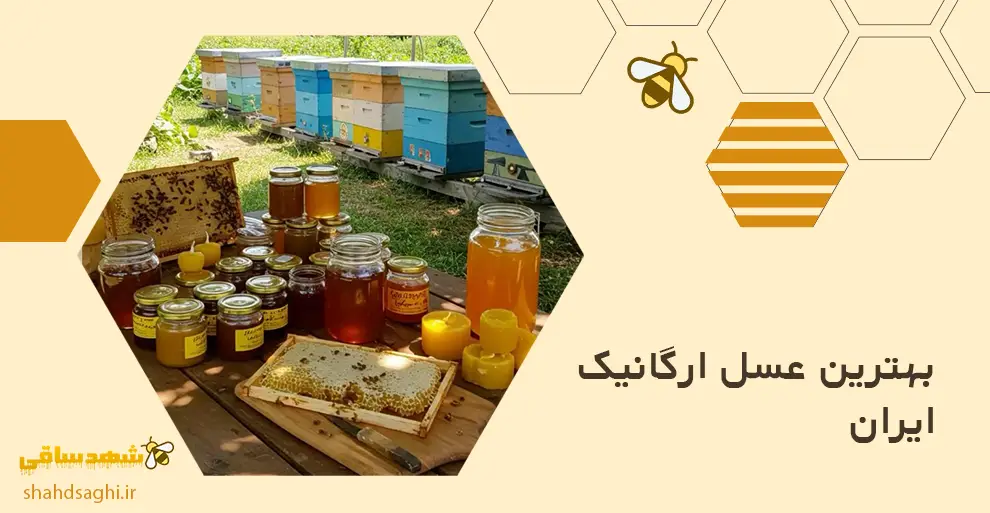 بهترین عسل ارگانیک ایران