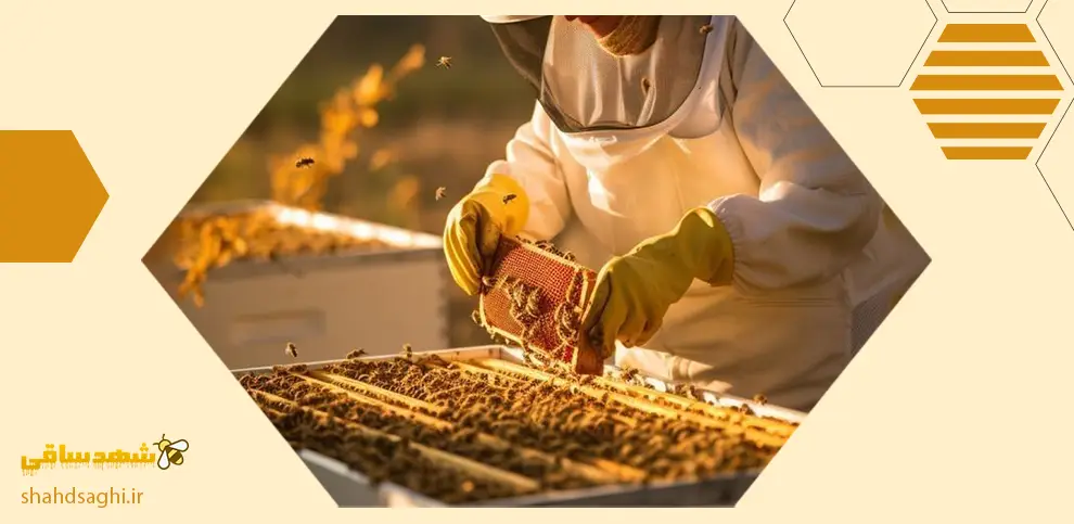 بهترین عسل ایران