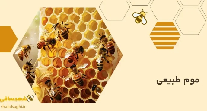 موم طبیعی