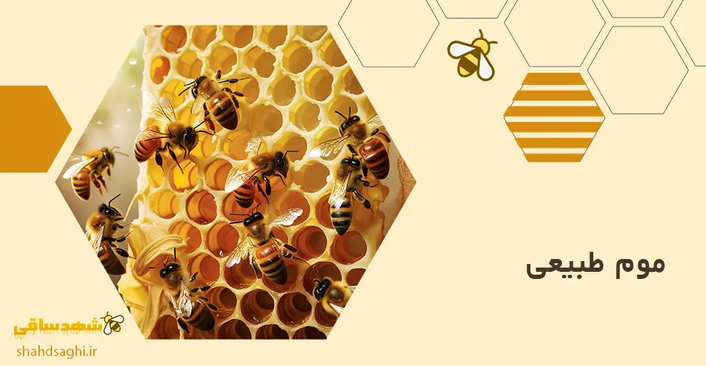 موم طبیعی